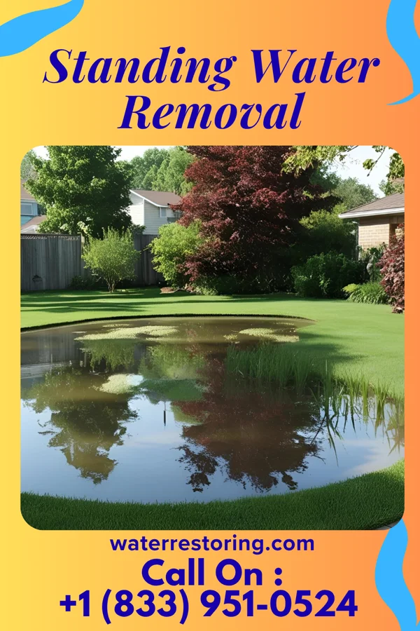 Standing Water Removal in Fleming, MO
